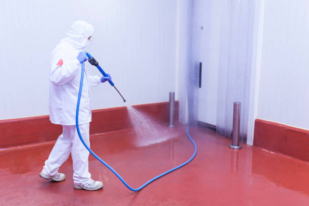 Reliable Mentone, CA Pressure Washing Services Solutions
